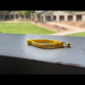 Sunny Side Adjustable Pet Collar